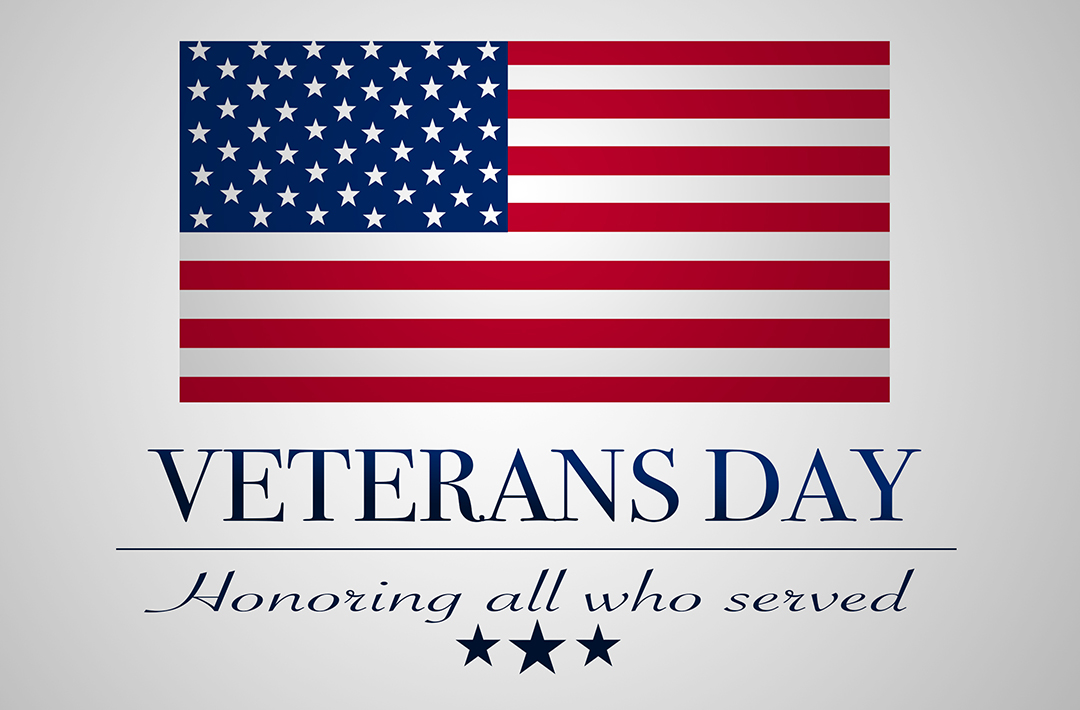 Veterans Day Tribute Insights - 24hourwristbands Blog